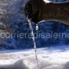 acqua-neve-1440x564_c